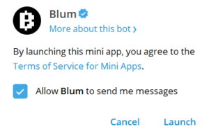 blum coin launch date