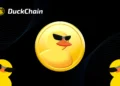 DuckChain Airdrop